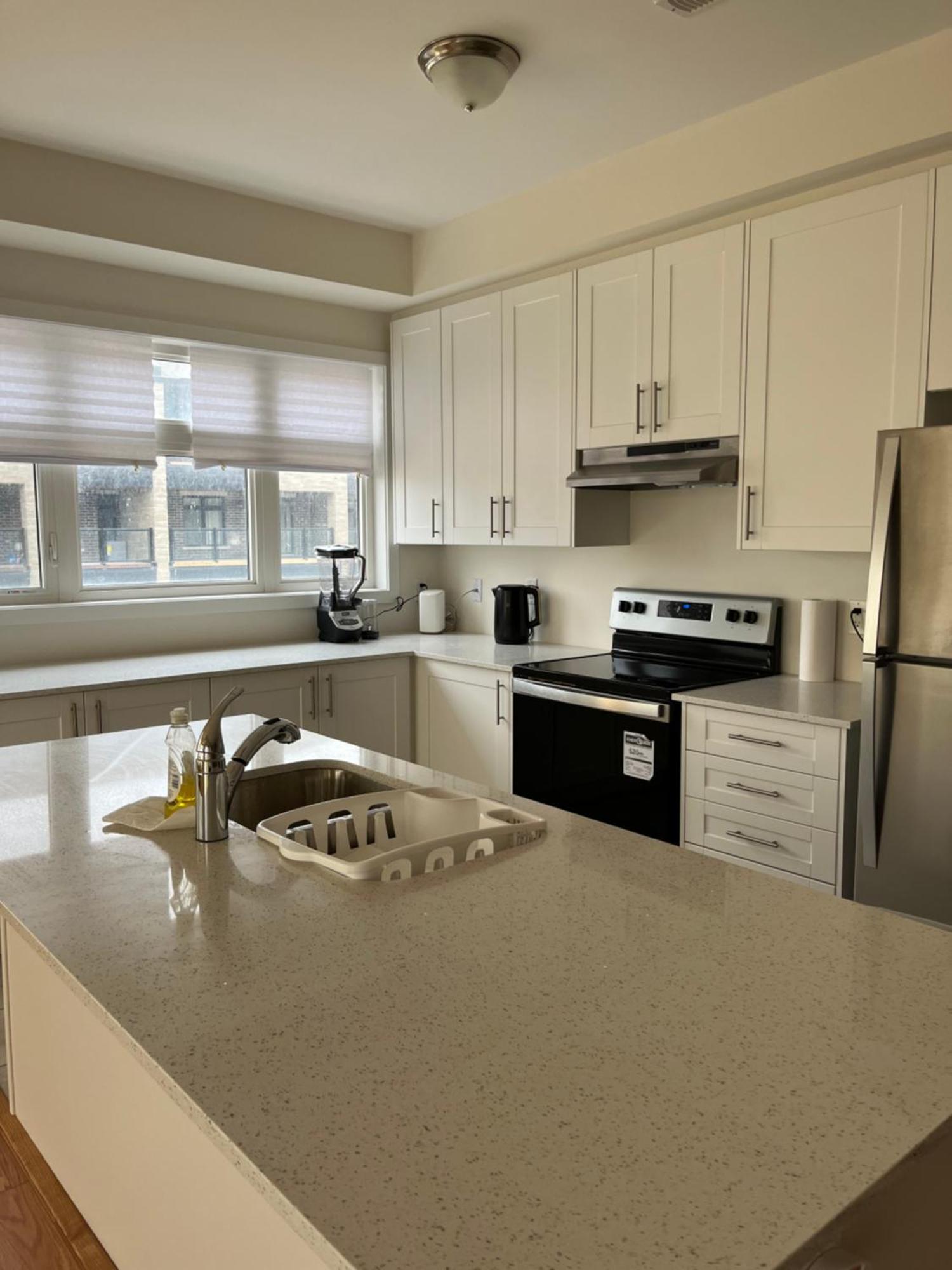 Luxury Brand New Townhouse In Milton Ontario Apartment Exterior photo